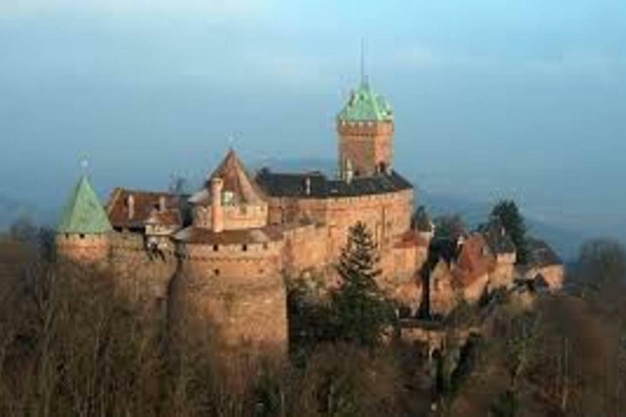 Nid Douillet A Obernai Lägenhet Exteriör bild
