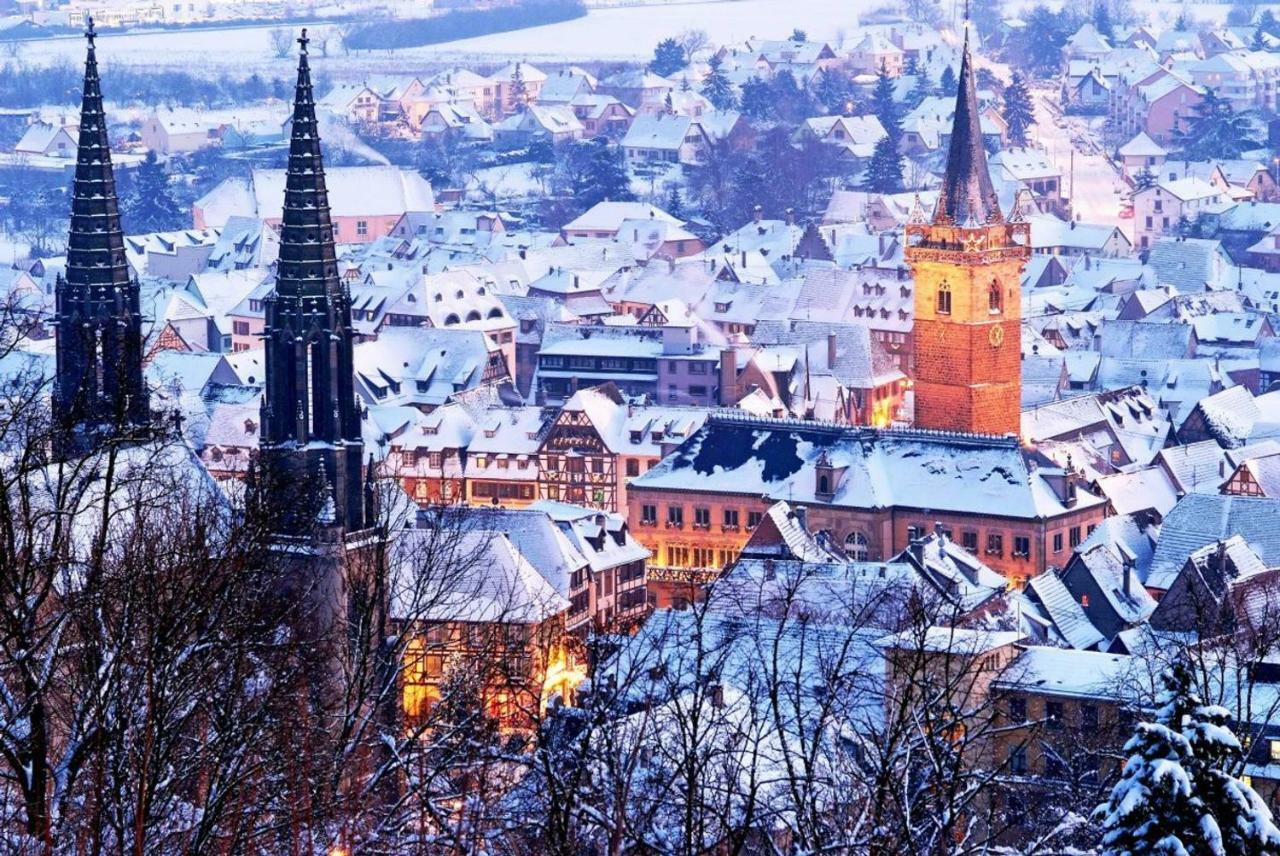 Nid Douillet A Obernai Lägenhet Exteriör bild